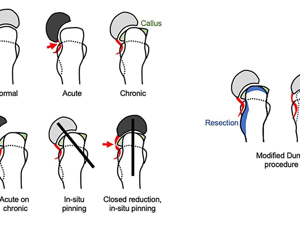 Fachthemen Medizin Universimed Medizin im Fokus